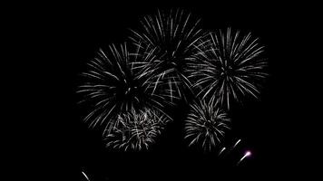 espectacular fuegos artificiales monitor para independencia día celebracion en julio 4to 2025 presentando vibrante explosiones y vistoso luces en lento movimiento video