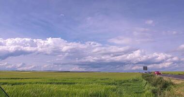 Fast moving clouds over green wheat field on windy early summer day2 video