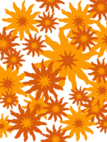 abstract floral pattern background png