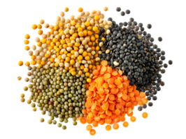 Nutrient Rich Lentils A Colorful Guide to Types Uses png
