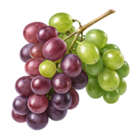 grapes on a branch with a transparent background png