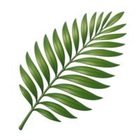 Realistic green palm leaf isolated on transparent background for decorative design elements png