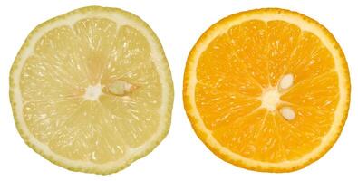Two citrus fruit slices, a lemon and an orange, isolated background photo