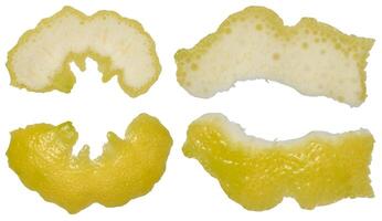 Four pieces of lemon peel in different shapes showing the white inside and yellow outside. Isolated background photo