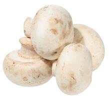 Fresh white button mushrooms piled on white background. Close-up of edible Agaricus bisporus fungus, close up photo