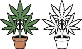 Cannabis Marijuana Plant in Pot Graphic with Color and Outline Versions vector