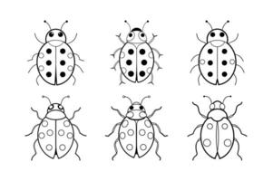 Ladybugs Outline Line Art Drawing vector