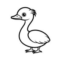 Little Grebe Bird Outline vector