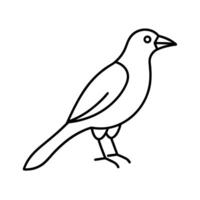 weaver bird line art vector