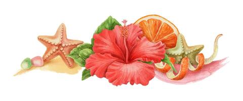 Summer wide arrangement with Hibiscus flower and starfish. Hand drawn watercolor artwork with orange and brushstroke. Beach vibe graphic element. Perfect for card template and holiday season design. vector