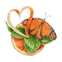 Orange slice with Monarch butterfly and heart from peel arrangement. Hand drawn watercolor food illustration. Citrus image with colorful texture. Perfect for summer card template and sticker design. vector