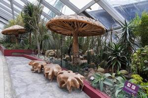 Singapore, Singapore - 4 April 2025 Desert-themed indoor area inside the Flower Dome featuring large wooden mushrooms and exotic cactus plants. photo