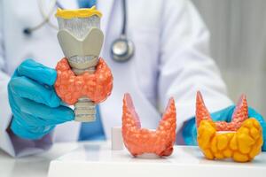 Hyperthyroidism Overactive Thyroid, Thyroid Lymphoma, Asian doctor with thyroid gland photo