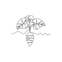one line art Taro Root or Talas Tuber illustration. line art, one continuous line, simple, hand drawn and sketch style. for icons, symbols, signs or logos vector