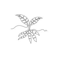 one line art Arrowroot Tuber illustration. line art, one continuous line, simple, hand drawn and sketch style. for icons, symbols, signs or logos vector