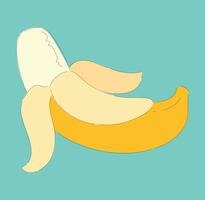 An EyeCatching and Colorful Cartoon Illustration of a Banana with Its Peels Exposed vector