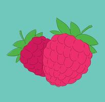 Fresh Raspberries on a Bright and Colorful Background Perfect for Various Uses and Occasions vector