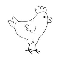 Simple drawing of a cartoon chicken with a round body and small wings standing on a white background vector