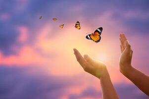 flying butterfly and hands on abstract sunny natural background. end of summer concept. freedom. encounter man and nature. harmony, peaceful atmosphere landscape photo