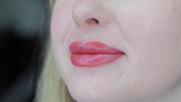 Healed lips after permanent makeup, close-up of well-defined shape and natural pink tone, Smooth and symmetrical result showcasing aesthetic precision video
