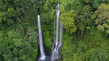 Drone view of Sekumpul Waterfall in Bali, Indonesia. Stunning jungle scene with cascading streams and lush green tropical vegetation. video