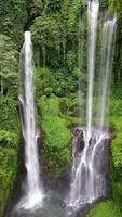 Drone view of Sekumpul Waterfall in Bali, Indonesia. Stunning jungle scene with cascading streams and lush green tropical vegetation. video