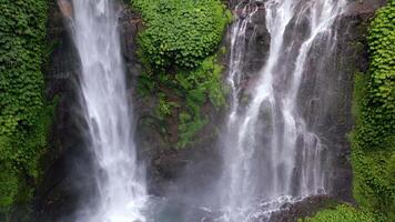 Drone soaring above the splashing Sekumpul Waterfall in Bali, Indonesia. Stunning jungle scene with cascading streams and lush green tropical vegetation. video