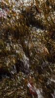 Waterfall rushes with vigorous motion through rocky landscape, displaying vigorous power of elements, ideal for energetic narratives, boosting vigorous nature visuals. Perfect for background video