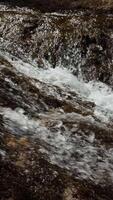 Vertical screen. waterfall shimmers with autumn beauty, enhancing beauty of seasonal change, capturing beauty for nature documentaries, perfect for fall themes. Ideal for nature clips. Closeup video