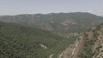 Aerial view flying over green mountain landscape with deep forested valleys, rocky slopes, and distant peaks under clear summer sky in remote Caucasus highlands video