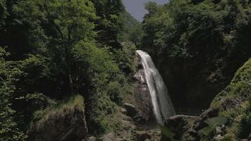 Powerful scenic secluded waterfall cascades into rocky basin surrounded by lush forest, hidden natural gem deep in the mountains, symbol of serenity, discovery, and untouched video