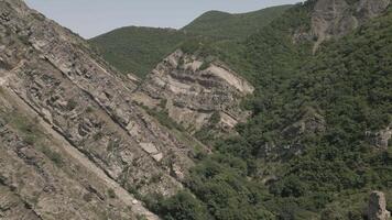 Aerial view of steep layered rock formations and forested mountain slopes in remote highlands, showcasing dramatic geological patterns and untouched natural environment video
