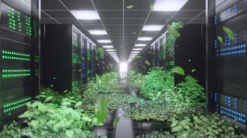 Animated view inside a sustainable AI data center with lush green plants growing among server racks, symbolizing eco-friendly technology and environmental preservation. video