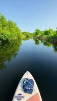 A paddle board is in the water with trees and grass video