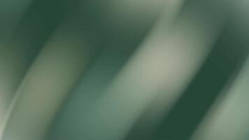 blurry green abstract background. Suitable for presentations, website banners, social media graphics, posters, and naturethemed designs requiring a soft background. video