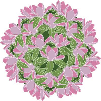 Illustration of magnolia flower with leaf on green circle background.