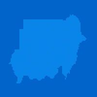 Blue halftone dot outline map background of Sudan vector