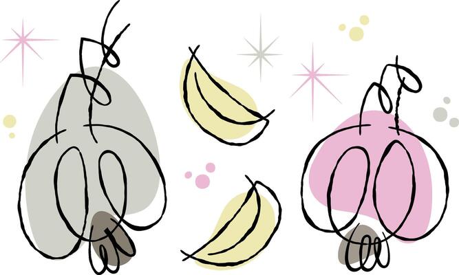 Modern retro style abstract drawing of garlic and clove of garlic on transparent background. Playful line art vegetable doodled design element for cooking theme designs.