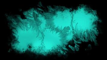 Bright glowing abstract shapes create mesmerizing patterns on black background video