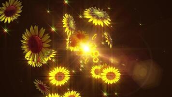Sunflowers Particle Loop Animation video