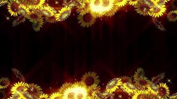Sunflowers Loop Animation Background video