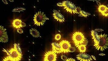 Sunflowers Leaf Loop Animation video