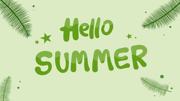 Hello Summer message with tropical leaves and soft green background animation video
