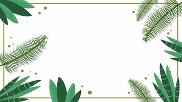 Blank white summer background animation with scattered tropical palm leaf frames video