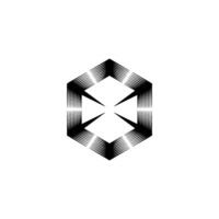 Abstract Black Hexagon With Geometric Fringes On White Background vector