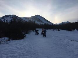 photo, landscape, nature, winter, snows landscape photo