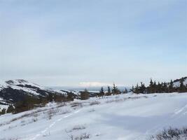 photo, landscape, nature, winter, snow, landscape photo