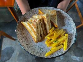 A plate of sandwiches and french fries is being held by a person. photo
