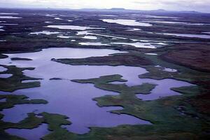 an aerial view of a large body of water with many small ponds photo