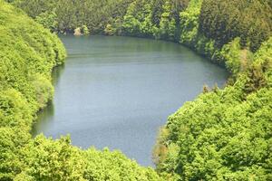 a lake surrounded by trees in the middle of a forest photo